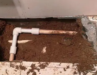 和顺测漏水哪家好