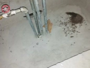 和顺卫生间测漏水价格明细