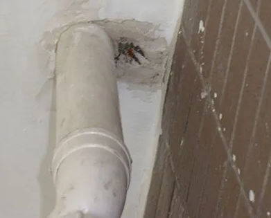 和顺漏水检测哪家好